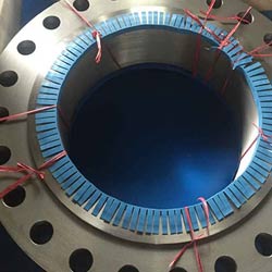 SS 316 Forged Flange