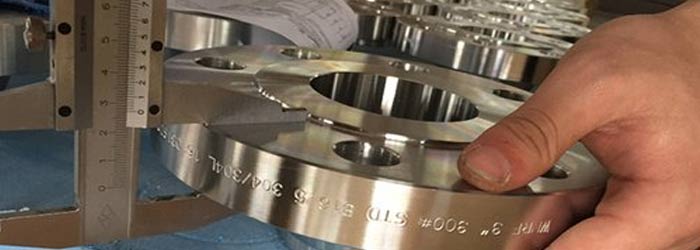 stainless steel flanges manufacturers in india