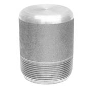 Super Austenitic Stainless Steel Threaded Round Head Plug